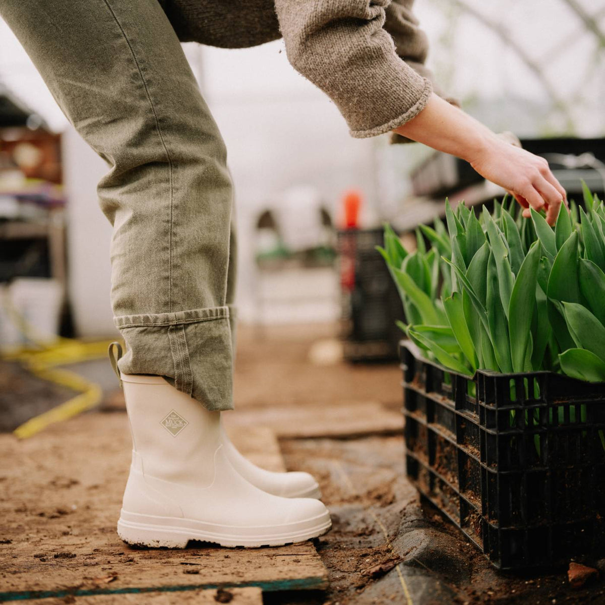 Person wearing off white rubber boots and green pants handling plants in a greenhouse.